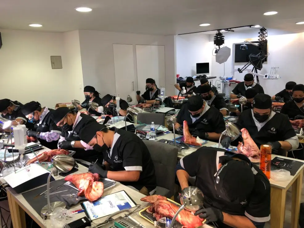 A hands-on workshop session, participants working at their own stations